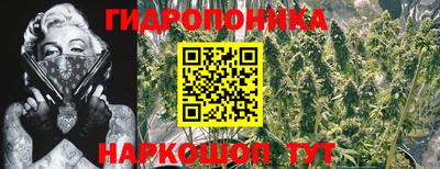 ПСИЛОЦИБИНОВЫЕ ГРИБЫ Туймазы