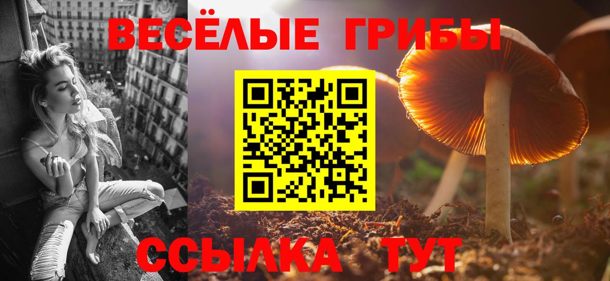 Галлюциногенные грибы мухоморы  Вход с VPN  цена   Галлюциногенные грибы мицелий  Менделеевск 